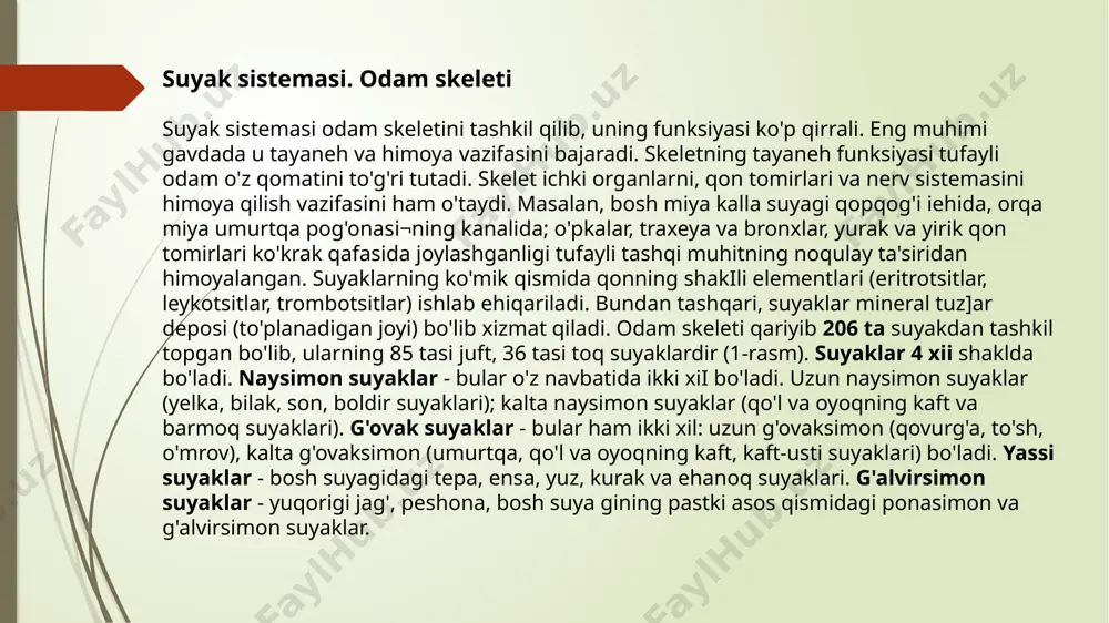 r joylashadi. qovurg'alarning 12 jufti ham orqa tomondan ko'krak umurt¬qalariga birikadi. ulardan 7 jufti haqiqiy (chin) qovurg'alar de¬yilib, oldingi tomondan to'sh suyagining yon tomoniga o'zining tog'aylari yordamida bevosita birikadi. ulardan pastki uch jufti soxta qovurg'a deyilib, bular bir-biri bilan tog'ay yordamida o'za¬ra, so'ngra esa 7- qovurg'aning tog'ayiga birikadi. bulardan ham pastda joylashganlari (11-12- qovurg'alar) oldingi tomondan to'sh suyagiga birikmay, qorin muskullari orasida joylashadi. bular yetim qovurg 'alar deb ataladi. to'sh suyagi uch qismdan: yuqorigi - dasta, o'rta - tana qismi va pastki - qilichsimon o'simtadan iborat. umurtqa pogonasi. a- oldindan ko'rinishi: 1- bo'yin qismi; 2- ko'krak qismi; 3- bel qismi; 4- dumg'aza qismi; 5- dum qismi. b- yon tomondan ko'rinishi (o'rtasidan arralangan): 1- umurtqa pog'onasining kanali; 2- bo'yin lordozi; 3- bel lordozi: 4- ko'krak kifozi; 5- dumg'aza kifozi: ko'krak qafasi: 1-7- haqiqiy (chin) qovurg'alar; 8-10- soxta qovurg'alar; 11-12¬yetim qovurg'alar; 13- lo'sh suyagining qiiichsimon o'simtasi. qo'l suyaklari. qo'l suyaklari ikki qismga: …