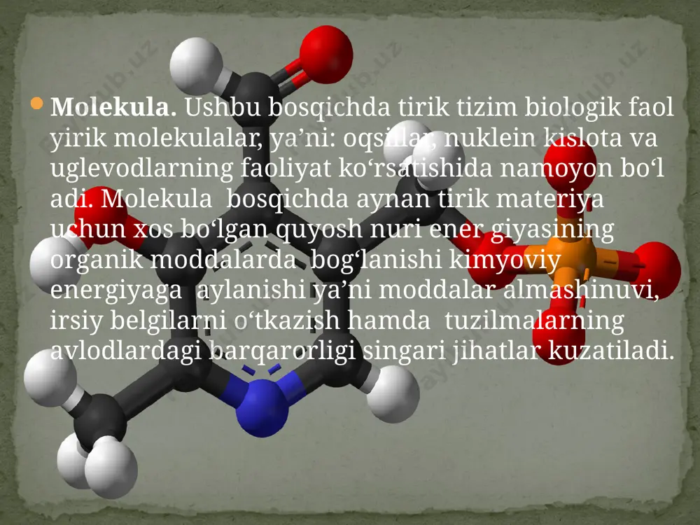 tiriklikning tuzilish darajalari. 9 - sinf - Page 4