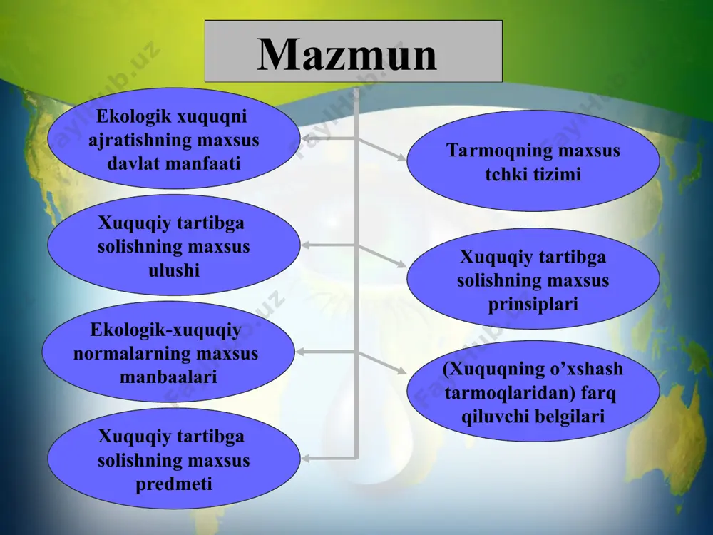 ekologiya nazoratining tizimi - Page 5