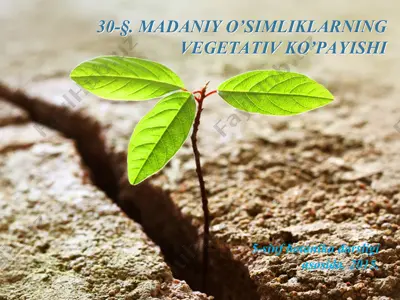madaniy o’simliklarning vegetativ ko’payishi. 5 - sinf — PPT