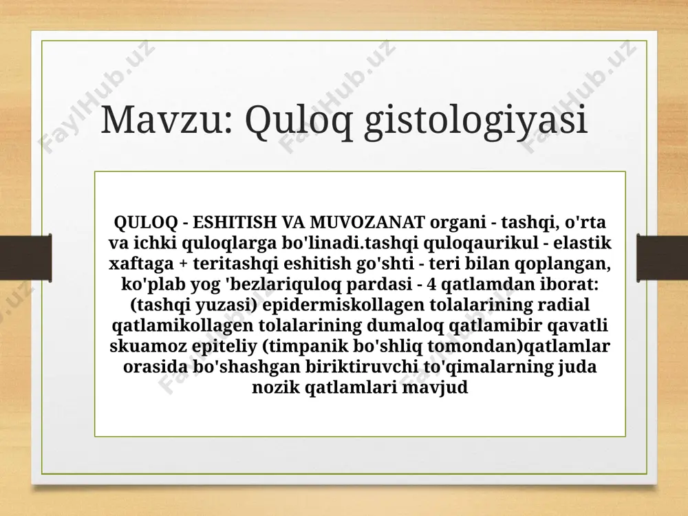 membranaga botiriladi.soch hujayralari spiral ganglion neyronlarining dendritlari tomonidan innervatsiya qilinadi ichki soch hujayralari barcha innervatsiyaning taxminan 90% ni oladiyordam quytachlaritashqi hujayra ustunlariichki ustun hujayralaritashqi falangeal hujayralarichki falangeal hujayralaroraliq qo'llab-quvvatlovchi hujayralar (hansen)chegara qo'llab-quvvatlash hujayralari (klavdiy)ichki qo'llab-quvvatlash hujayralari (deiters) qoplash membrana (tektorial membrana) - kollagen tolalar va biriktiruvchi to'qimaning amorf moddasidan iborat bo'lgan jelatinli shakllanish, spiral jarayonning periosteum qalinlashuvining yuqori qismidan chiqib, korti organiga, tepaliklarga osilib turadi. soch hujayralarining stereosiliyalari unga botiriladi muvozanat janlar xalta, bachadon, yarim doira kanallarining membrana labirintida joylashgan:makulalar (eshitish joyi) xalta va bachadonda joylashgan; xalta va bachadonning eshitish nuqtalari tortishish, chiziqli tezlanishlar, tebranishlarni sezadi.crista (scobs) yarim doira kanallarining ampulali kengaytmalarida joylashgan; yarim doira kanallarining kristalari burchak tezlanishini sezadi makulalar va kristallar bir xil tuzilishga ega, ular sezgir hujayralar, qo'llab-quvvatlovchi hujayralar, integumental membranadan iborat.sezsiviy hujayralar (soch xujayralari)nok shaklidagi hujayralar, ular sezgir nerv uchi bilan o'ralgan bo'lib, kosa shaklida quti hosil qiladi.hujayralar silindrsimon shaklga ega, ularning asosiga nuqta sezgir nerv …