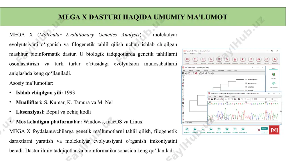 volyutsion munosabatlarni o‘rganishda muhim ahamiyatga ega. genetik masofani hisoblash modellari mega x da mega x genetik masofani hisoblash uchun turli modellarni qo‘llaydi. jukes-cantor (jc69) modeli eng oddiy bo‘lib, barcha nukleotid almashtirishlarni teng ehtimollik bilan qabul qiladi. kimura 2-parametr modeli (k2p) tranzisiya va transversiyalar o‘rtasidagi farqni hisobga oladi. tamura-nei (tn93) modeli esa at va gc tarkibidagi farqlarni inobatga olib, yanada aniqroq natijalar beradi. ushbu modellar filogenetik tahlilda organizmlar yoki genlar orasidagi evolyutsion masofani hisoblash uchun ishlatiladi. mega x interfeysi va natijalarning vizualizatsiyasi mega x grafik interfeysga ega bo‘lib, foydalanuvchilarga filogenetik daraxtlarni osongina yaratish va tahlil qilish imkonini beradi. natijalar vizual tarzda taqdim etilib, daraxtlarning tarmoq uzunligi, tugun ishonchliligi va boshqa parametrlarni tahrirlash mumkin. filogenetik modelni sozlash va moslashtirish funksiyalari mavjud. tayyor natijalarni pdf, png yoki boshqa formatlarda saqlash va ulardan ilmiy maqolalar yoki taqdimotlarda foydalanish mumkin. mega x ning afzalliklari va kamchiliklari mega x dasturining bir qancha afzalliklari mavjud. u bepul …