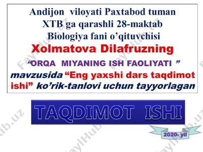 orqa miya mnt — PPT