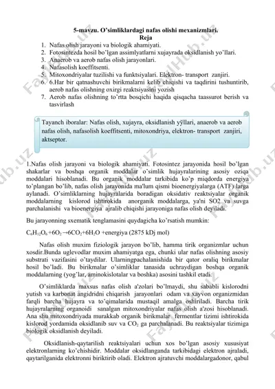 o’simliklardagi nafas olishi mеxanizmlari — DOCX