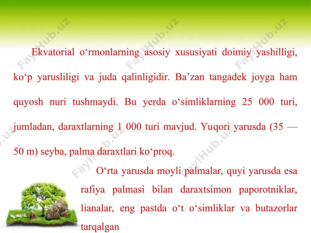 afrika ekvatorial o‘rmonlari va savannalari 6-sinf - Page 5