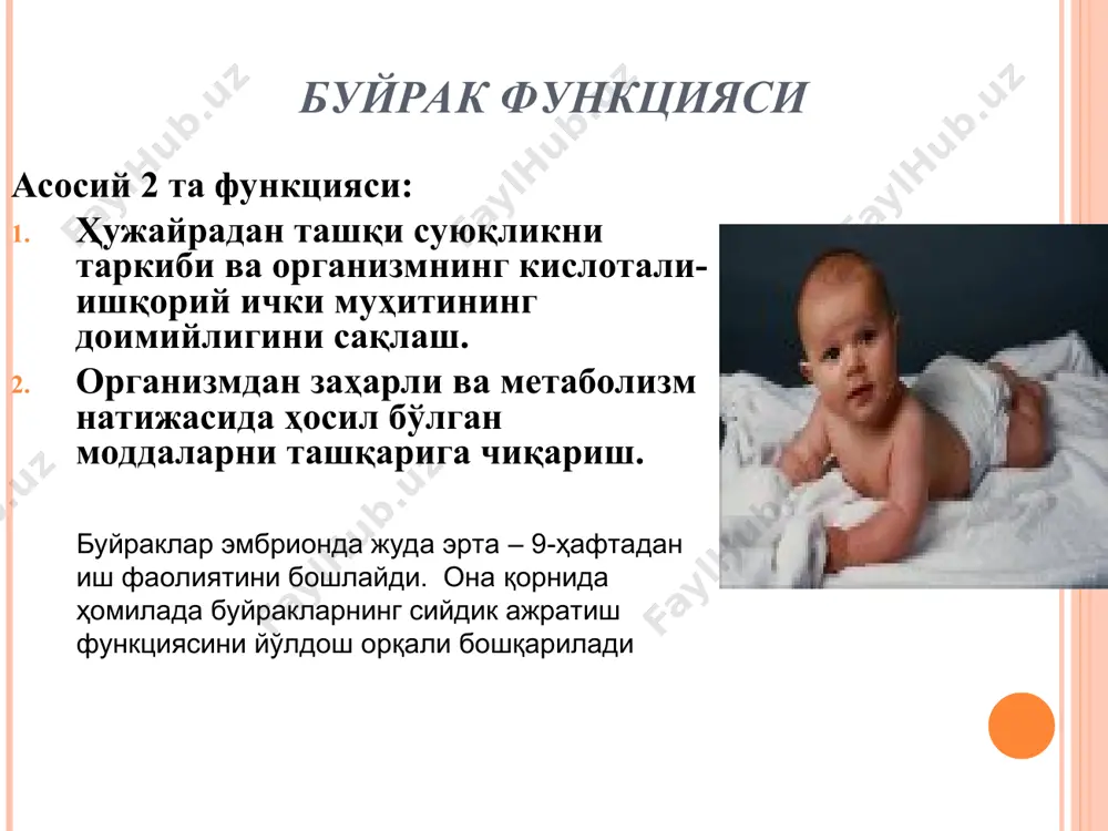 ta bolalar aholisi ichida ushbu kasallik 19,1%o ni tashkil qiladi. ular ichida piolenefrit ham ko'p uchraydi. mamlakatlarning har xil regionlarida uning tarqalishi 0,36 dan 3,5% gacha tashkil qiladi. pielonefrit siydik sistemasi kasalliklari ichida 70% ni tashkil kiladi. pielonefrit (pen) pielonefrit kattalarda 2-3%, lekin kasallik 50-70% hollarda erta yoshda boshlanadi, keyinchalik esa uzoq muddatli klinik remissiya kuzatiladi. etiologiya ichak tayokchasi (50-60%), stafilokokk, protey (1/3), streptokokklar aniqlangan. ayrim xollarda aralash flora aniqlanadi. patogen zamburug'lar, viruslar, mikoplazmalar, xlamidiyalar va boshqalar ham sabab bo'lmoqda. etiologiya pen surunkali, uzok muddat kechuvchi shakllariga bakteriyalarni l formalari sababchidir. bu antibakterial terapiya natijasida xujayra qobig'ini yo'qotgan bakteriyalar bo'lib, organizmda uzok vaqt aylanib yurishi mumkin va antibakterial terapiya to'xtagandan so'ng, yana o'z shakliga kiradi. virusli infektsiyalar organizm himoya kuchlariga nosoz ta'sir ko'rsatadi va buyrak parenximasida bakterial yallig'lanishiga moyillik tug'diradi. etiologiya mikroorganizmlar daraja escherichia 40-60 klebsiella pneumonie 7-20 proteus mirabilis et rettgeri 9-16 enterobacter spp. 5-15 staphylococcus aureus et saprophyticus …
