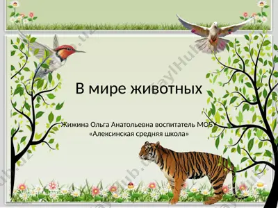 v mire jivotnix — PPTX
