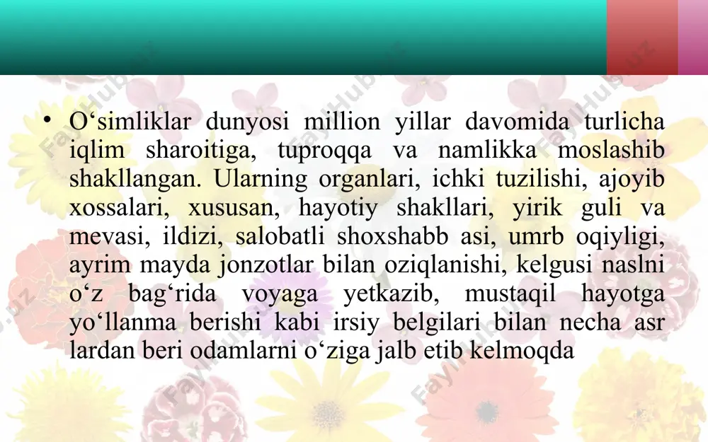 gulli o‘simliklar bilan umumiy tanishish. 5 - sinf - Page 4