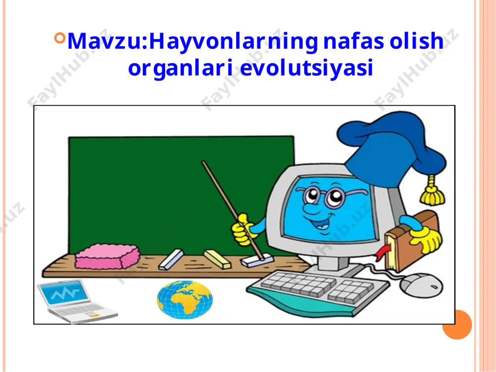 ardan iborat.ular suvda erigan kislorod bilan nafas oladi.panjaqanotli baliqlarda oxirgi jabra yoylari orqa tomonidan suzgich pufagi shakllanadi.bu xususiyat suzgich pufagini o’pkaga aylanishi uchun zamin bo’ladi. baliqlarning nafas olish a’zosi nafas olish o’rgani o’pkalar suvda ham quruqda yashovchilarda paydo bo’lgan.ularning o’pkasi xaltasimon tuzilgan bo’lib to’siqlar va bronxlar bo’lmaydi.ularda birinchi bo’lib hiqildoqning tog’aylari shakllangan. gaz almashinuvi ko’proq teri orqali amalga oshadi. suvda hamda quruqlikda yashovchilar nafas olish a’zosi qushlar o’pkasi yaxshi rivojlangan.o’pkasining ikkilamchi bronxlar oxiri havo xaltachalari hosil qiladi.havo xaltachalaridagi havo nafas chiqarganda o’pkadan o’tib ,qonni ikkinchi marta kislorod bilan ta’minlaydi. qushlarning nafas olish a’zosi sutemizuvchilarda bronxlar ko’p marta tarmoqlanib,bronxiola va alveolalar o’pka pufakchalari bilan tugaydi.alveolalar devori bir qavat epiteliydan iborat bo’lib, kapillarlar to’ri bilan o’ralgan. sutemizuvchilarning nafas olish a’zolari uyga vazifa 1.baliqlar bilan suvda hamda quruqlikda yashovchilarning nafas olish sistemasidagi o’xshashlik va farqlarni tushuntiring. 2.sudralib yuruvchilar bilan qushlarning nafas olish sistemasidagi o’xshashlik va farqlarni tushuntiring. 3.qushlar bilan sutemizuvchilarning nafas olish sistemasidagi …