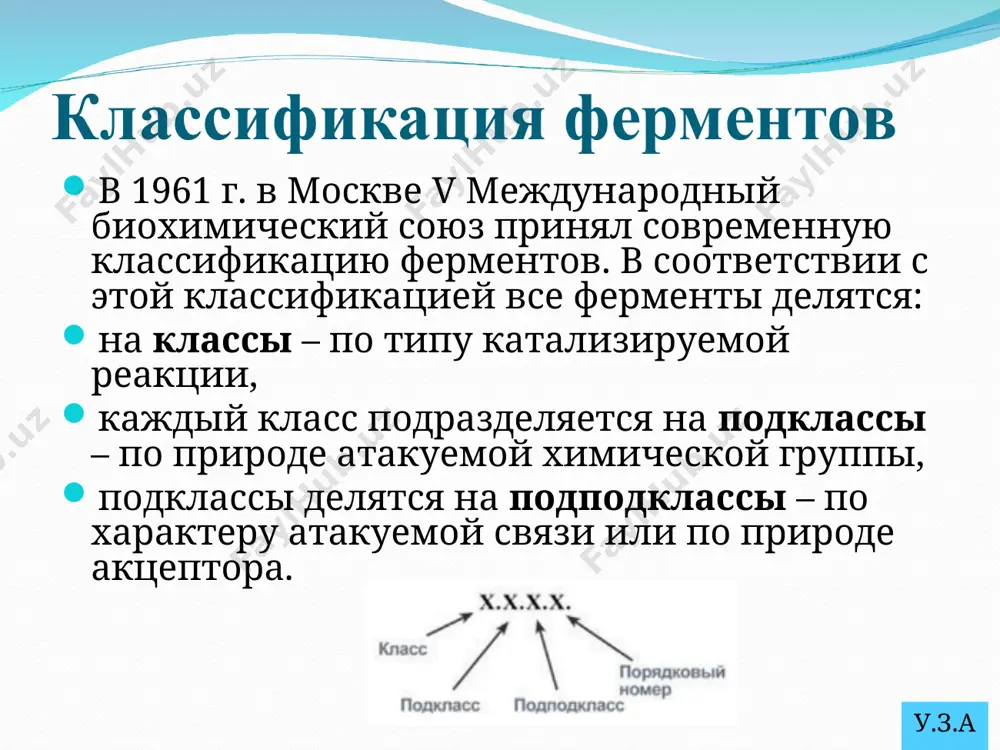 наименование ферментов составляют по формуле "субстрат-гидролаза" или прямым присоединением к названию субстрата суффикса "аза". например , протеаза, липаза, фосфолипаза, рибо-нуклеаза. пример реакции: у.з.а. 4. лиазы к лиазам относят ферменты, отщепляющие от субстратов негидролитическим путём определённую группу (при этом могут отщепляться со2, н2о, nh2,sн2и др.) или присоединяющие чаще всего молекулу воды по двойной связи. наименование ферментов составляют по формуле "субстрат-отщепляемая или присоединяемая группировка". примеры реакций: у.з.а. 5. изомеразы катализируют различные внутримолекулярные превращения. подразделяют в зависимости от типа реакции изомеризации. как общее название ферментов этого класса применяют термин "изомеразы", например: у.з.а. изомеразы могут катализировать внутримолекулярные окислительно-восстановительные реакции, осуществляя взаимопревращения альдоз и кетоз, кетонных и енольных групп, перемещения двойных связей внутри молекулы. когда изомеризация состоит во внутримолекулярном переносе группы, фермент называют "мутазой", например: у.з.а. 6. лигазы (синтетазы) катализируют реакции присоединения друг к другу двух молекул с образованием ковалентной связи. этот процесс сопряжён с разрывом фосфоэфирной связи в молекуле атф (или других нуклеозидтрифосфатов) или …